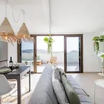 Medano4you The Smile